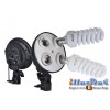 Continu studio verlichting set - 2x lamp met softbox ø65cm, 8x 36W fluorescentielamp, 2x statief 190cm - illuStar