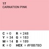 Rol achtergrondpapier - 17 Carnation Pink 1,35 x 11m