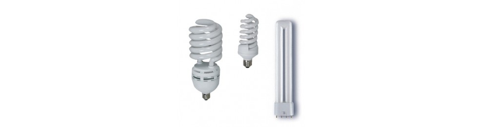Fluorescentielamp Fluorescentielamp